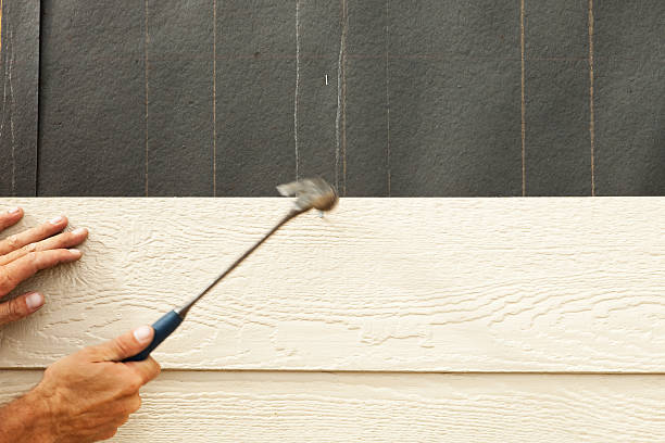 Best Siding Replacement  in Leesburg, GA